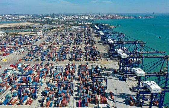 以高水平安全护航制度型开放